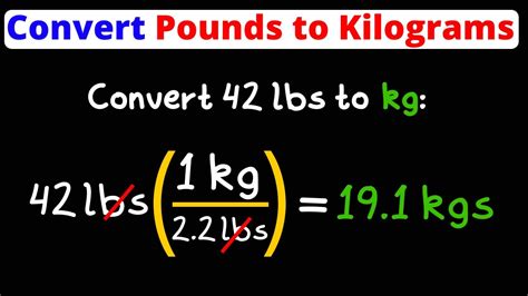 99lbs to kg|Convert lbs to kg